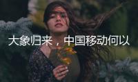大象归来
，中国移动何以争霸A股“王座”�？