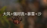 快排公司十年历程，霸屏兔 seo 的崛起与坚守