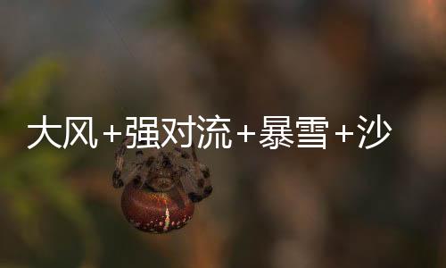 新疆南部等地局部有沙尘暴