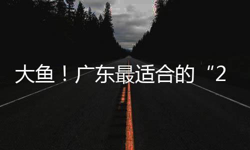 而最大的大鱼惊喜是
