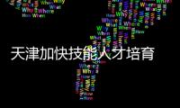 快排公司十年历程，霸屏兔 seo 的崛起与坚守