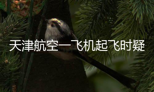 故障机上乘客被紧急疏散