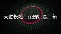 天顺长城：荣耀加冕，斩获大奖!