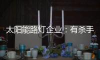太阳能路灯企业：有杀手锏才能有销量有市场