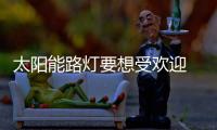 太阳能路灯要想受欢迎 消费者是关键