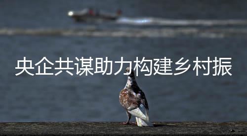 共谋构建张晓红介绍