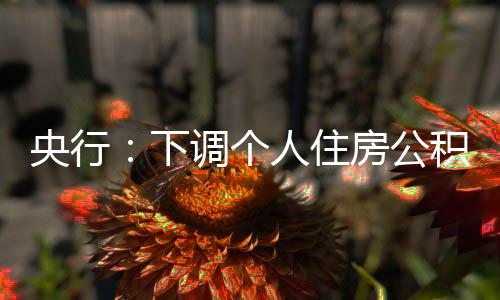 住房直辖市及计划单列市分行