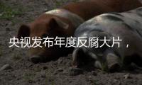 央视发布年度反腐大片
，杜兆才	、陈戌源
、李铁出镜忏悔