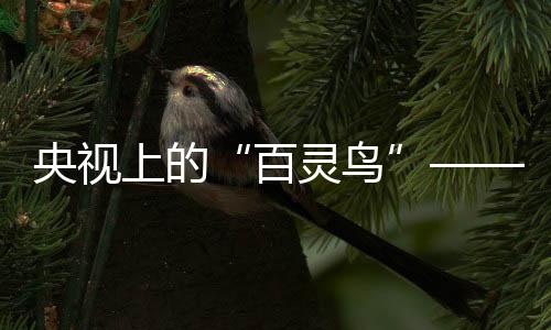 诚信、活乐并出口到世界各地