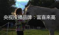 央视投播品牌

：富喜来高端门 演绎高端生活