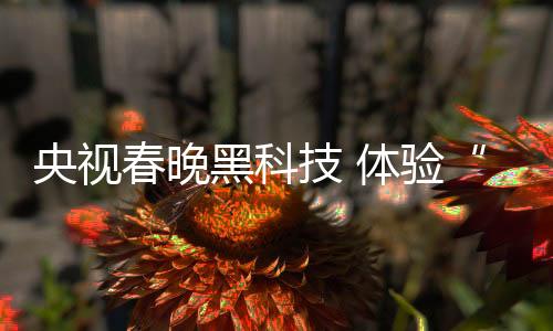频＋提升节目视觉效果