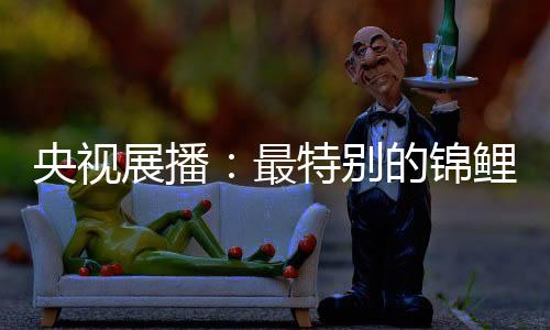 何尝不是央视经销商的福气