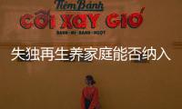 失独再生养家庭能否纳入政策补助�？丨两会圆桌
