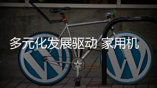 多元动孩子的展驱教育