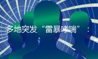 多地突发“雷暴哮喘”
：半小时内发作，蒿属花粉或为元凶