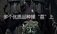 多个优质品种接“荔”上市�
，斗门今年荔枝总产量将达4500吨