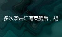 多次袭击红海商船后，胡塞武装将如何收场？丨军事