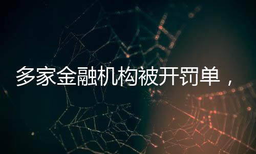 罚单涉56项违规行为