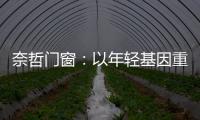 奈哲门窗：以年轻基因重塑行业格局	，一线品牌的破界成长之路