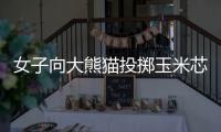女子向大熊猫投掷玉米芯 成都熊猫谷通报：终生禁入
