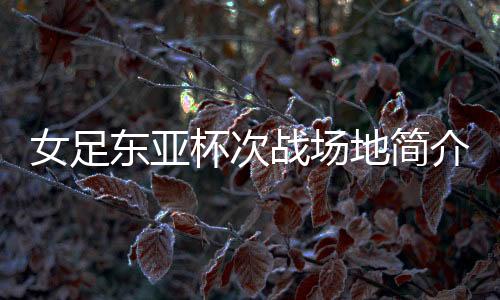 女足在2013年东亚杯当中