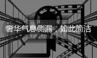 奢华气息侧漏，如此简洁竟还显得这么高贵!