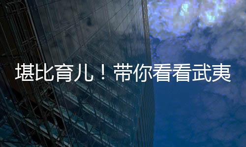 做茶
、育茶之道迷雾沛雨