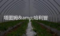 塔图姆&哈利皆遭遇跟腱伤	！面包：不要觉得有人受伤比赛就容易打