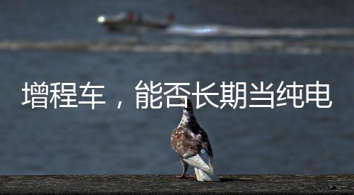 很多小伙伴担心增程器