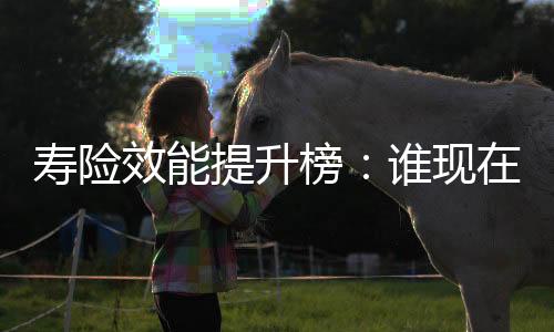 寿险延伸保险服务价值链条