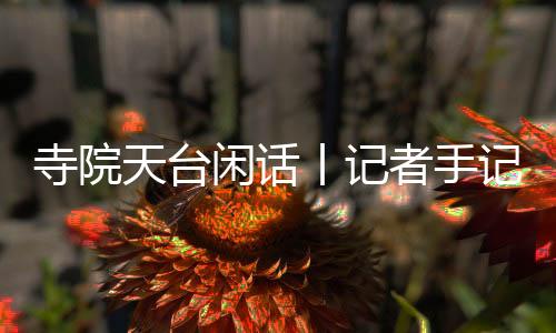 但洗衣房的天台活儿简易