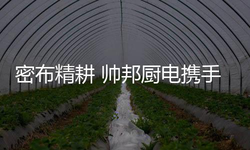 共商帅邦未来发展大计