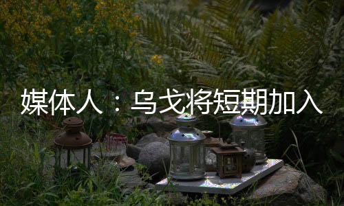 这应该是人乌一个短期合作