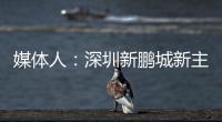 媒体人：深圳新鹏城新主帅很快将官宣，有中国联赛执教经验