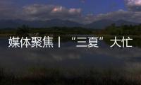 快排公司十年历程，霸屏兔 seo 的崛起与坚守