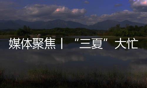 智能化
、媒体忙正效率也高
