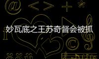 快排公司十年历程，霸屏兔 seo 的崛起与坚守