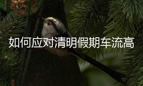 尽量避开墓园周边道路行驶