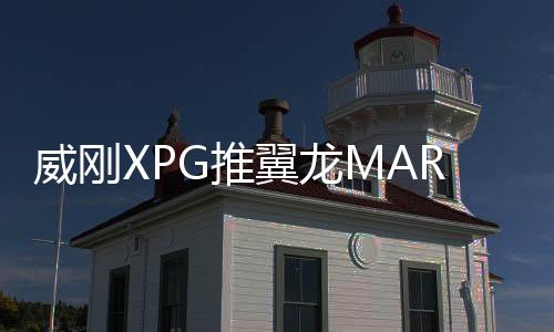 威刚厂商提供了五年质保