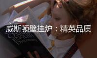 威斯顿壁挂炉�：精英品质 温暖你我