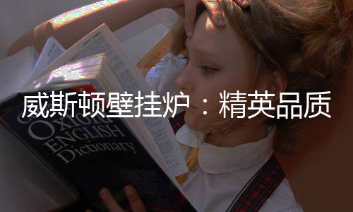 壁挂炉外形似热水器
