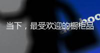 当下，最受欢迎的橱柜品牌推荐