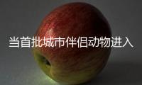 当首批城市伴侣动物进入暮年
，“宠物协和”肿瘤医生看到这些