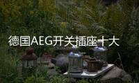 德国AEG开关插座十大品牌：经典呈现	
，完美创新