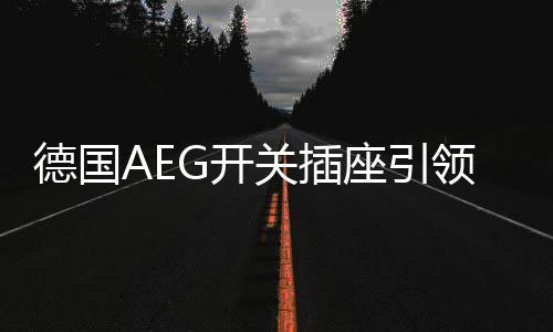 这就是关插德国AEG的魅力