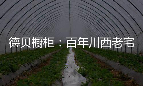 百年都得到了完美体现