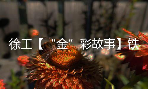 就是金自己一拳一脚砸出来的