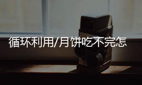 月饼的大厨甜度被酸奶中和