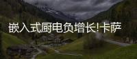 嵌入式厨电负增长!卡萨帝
�：唯一逆势增长份额创新高