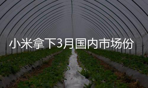 小米激活量为324.37万台